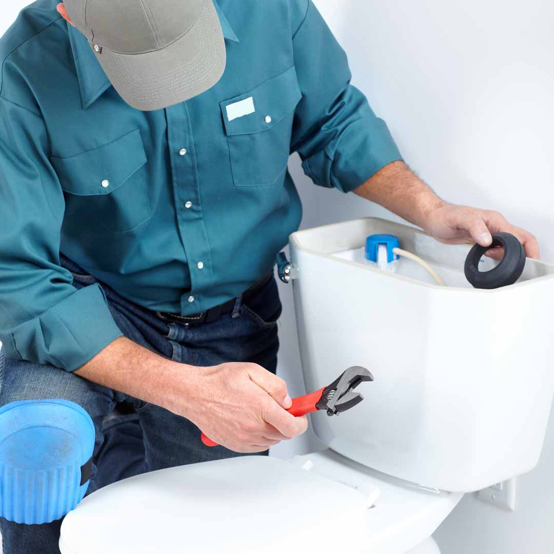 Professional toilet repair service